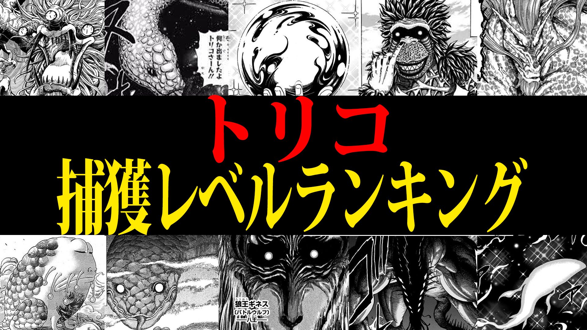 トリコ 捕獲レベル ランキング